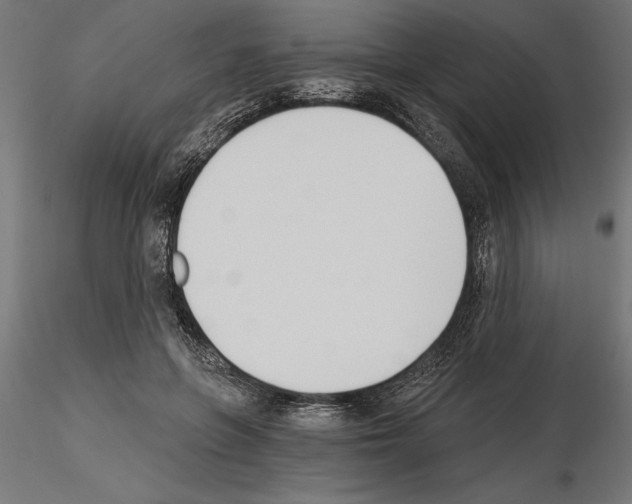 X0000115240551200912111057