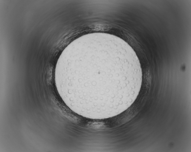 X0000115240554200912111057