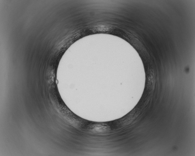 X0000115240555200912111057