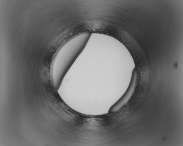 X0000115240558200912111057