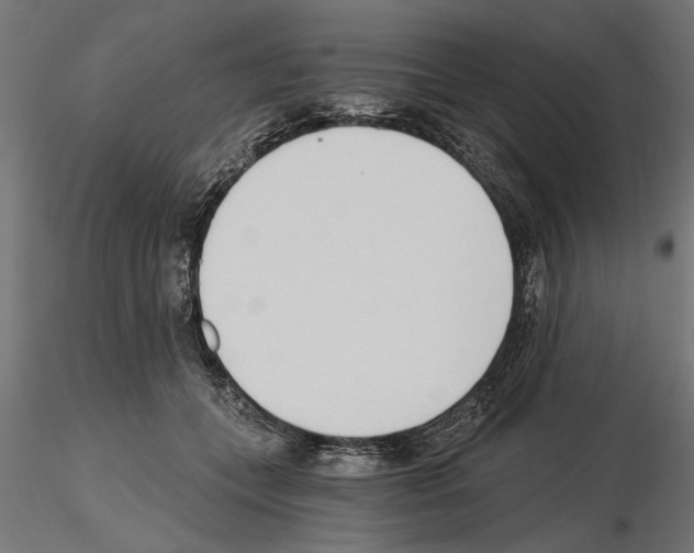 X0000115240559200912111057