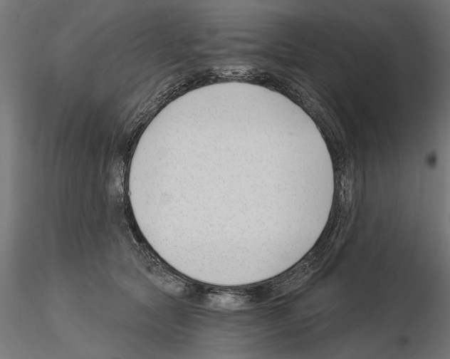 X0000115240561200912111057