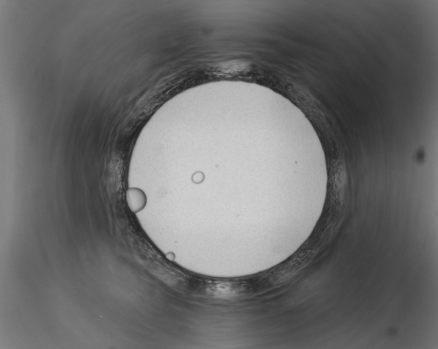 X0000115240565200912111057