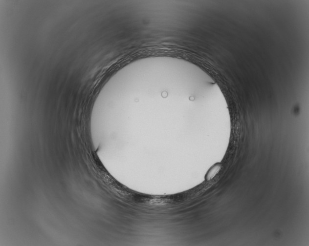 X0000115240566200912111057