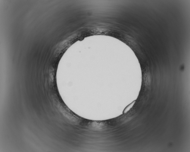 X0000115240570200912111057