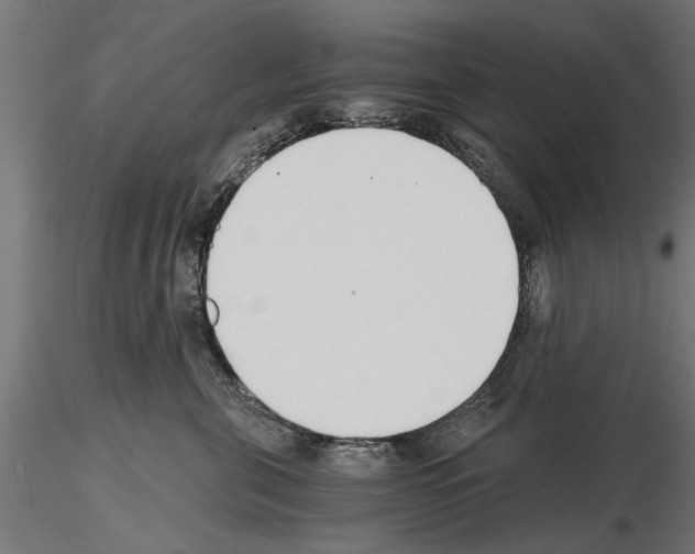 X0000115240571200912111057