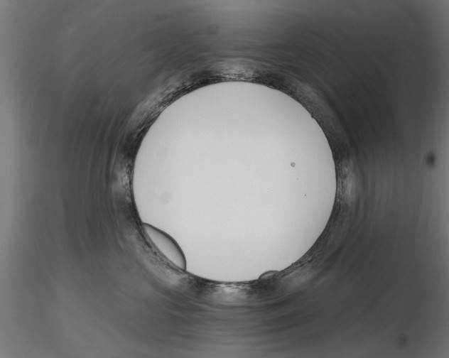 X0000115240573200912111057