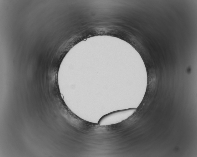 X0000115240574200912111057