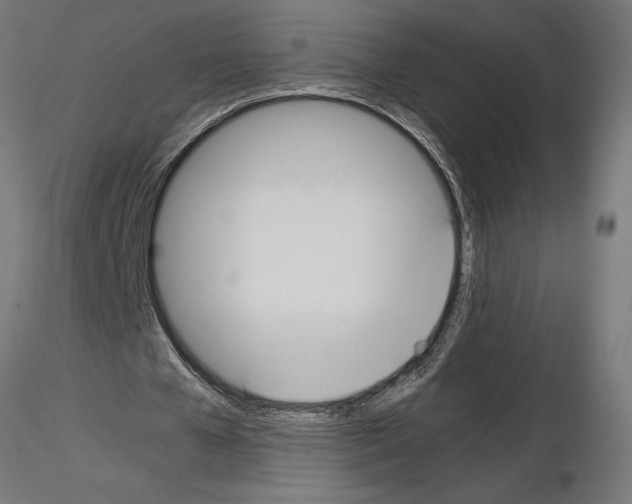 X0000115240577200912111056