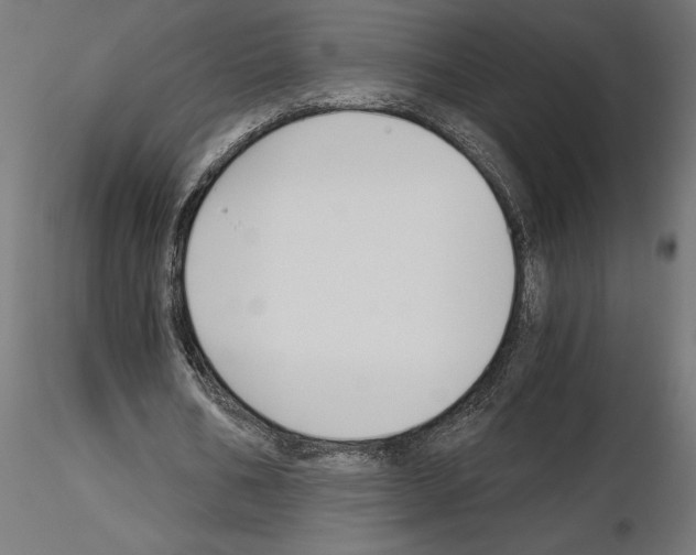 X0000115240578200912111056