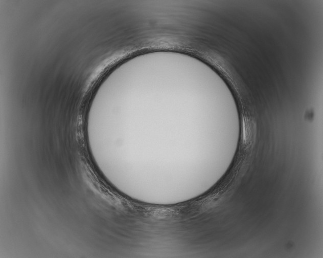 X0000115240579200912111056