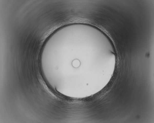 X0000115240581200912111056