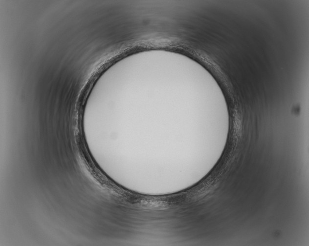 X0000115240582200912111056