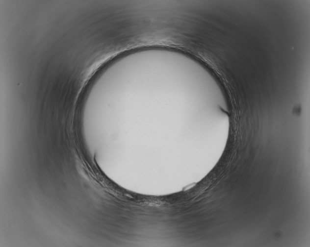 X0000115240583200912111056