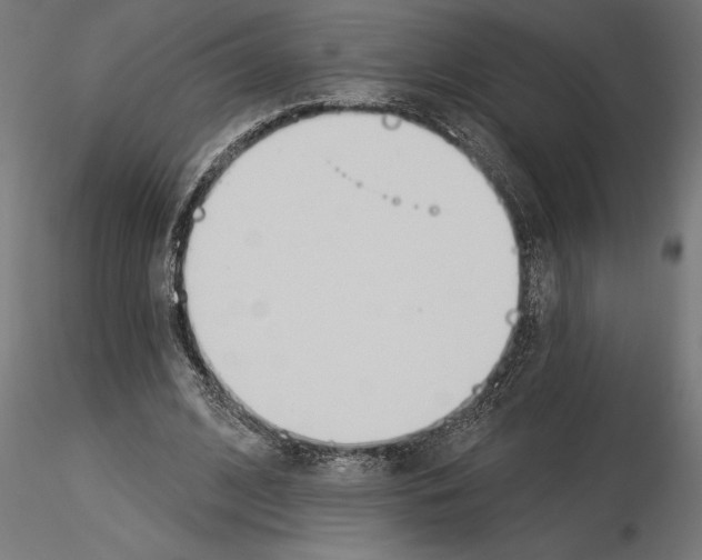 X0000115240584200912111056