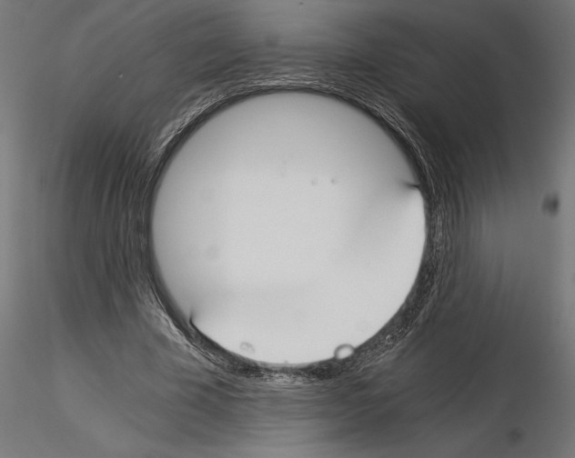 X0000115240585200912111056