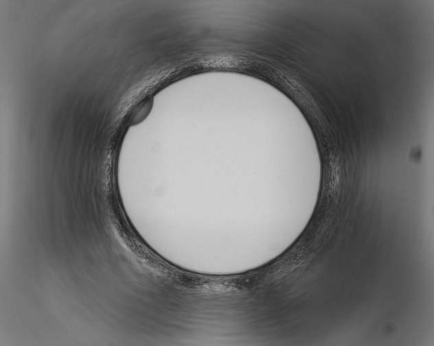 X0000115240586200912111056