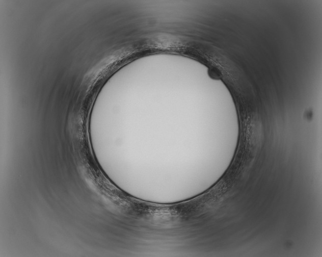 X0000115240587200912111056