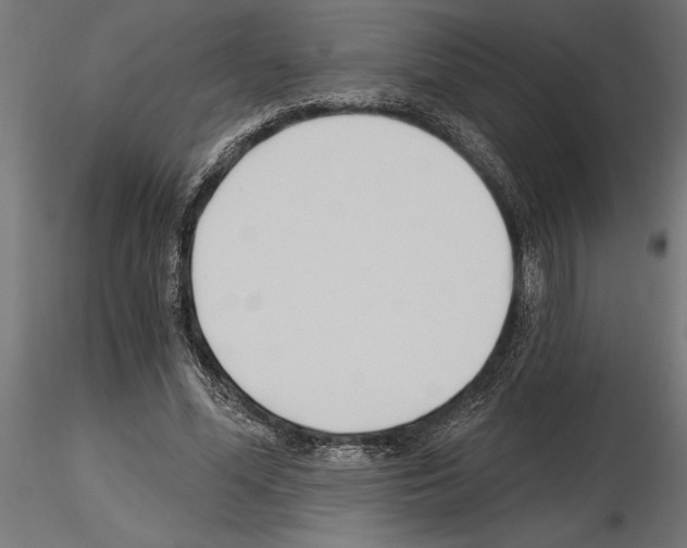 X0000115240588200912111056