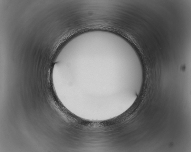 X0000115240589200912111056