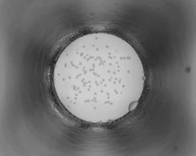 X0000115240590200912111056