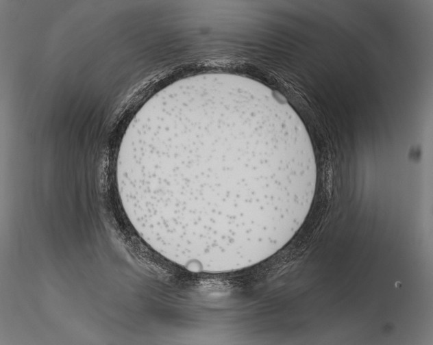 X0000115240591200912111056