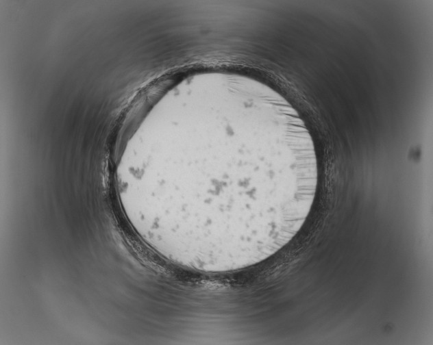 X0000115240592200912111056