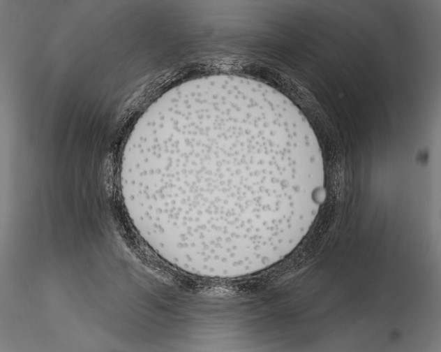 X0000115240594200912111056