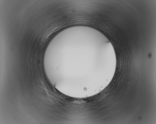 X0000115240595200912111056