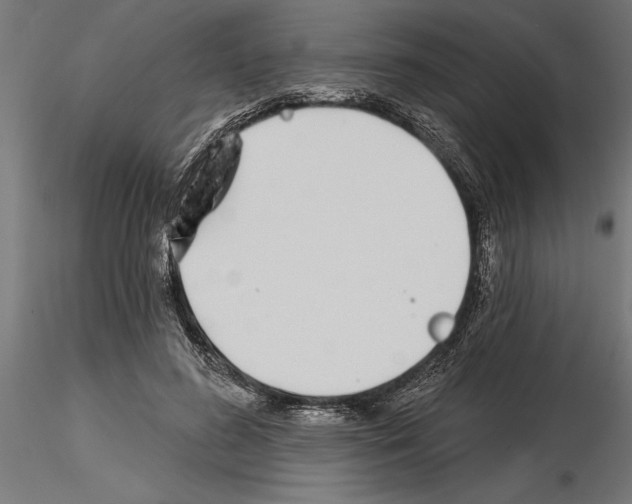 X0000115240596200912111056