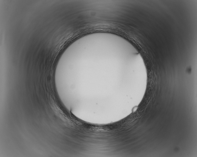 X0000115240597200912111056