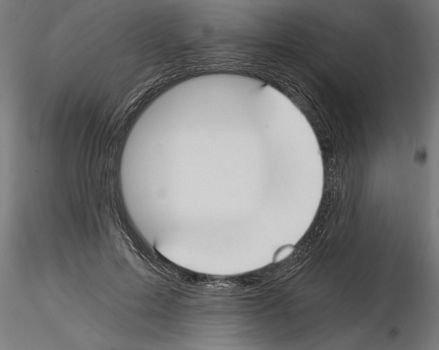 X0000115240599200912111056