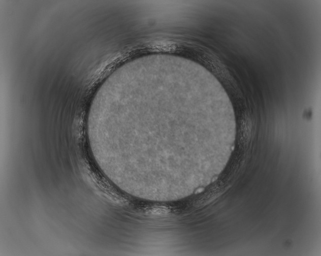 X0000115240600200912111056