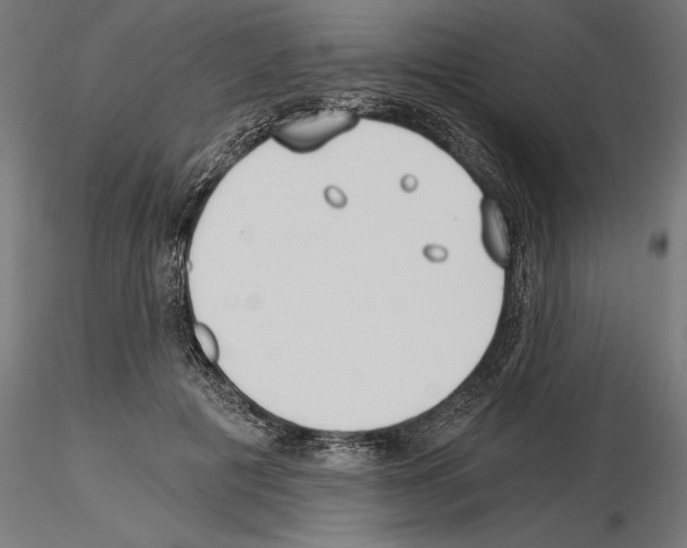 X0000115240601200912111056