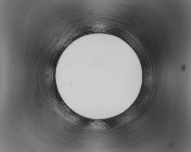 X0000115240603200912111056