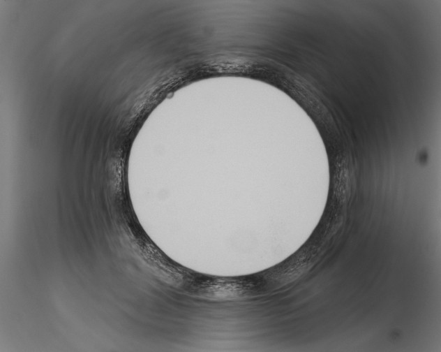 X0000115240604200912111056