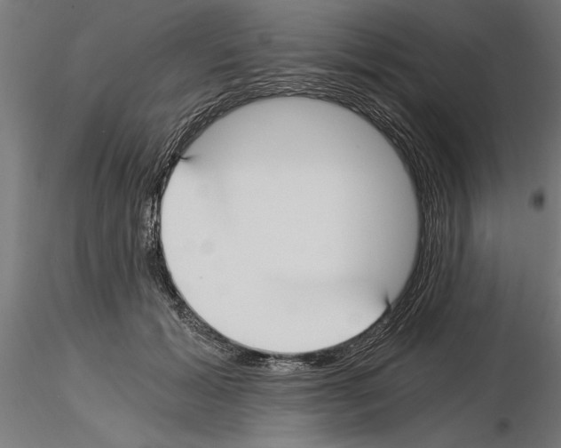 X0000115240605200912111056