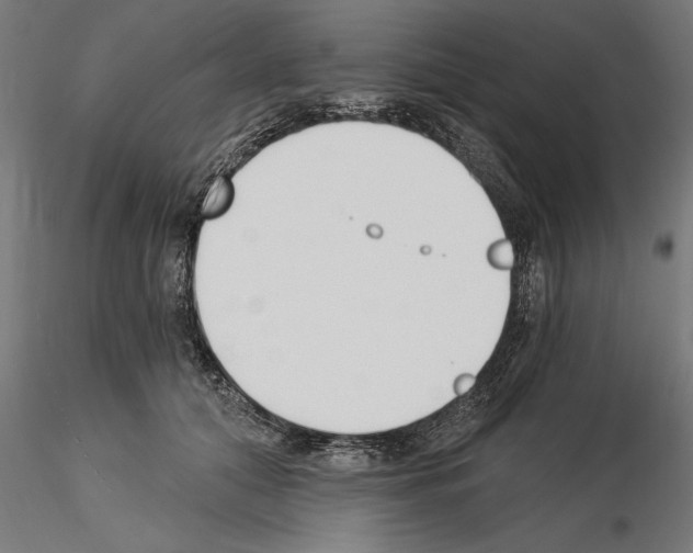 X0000115240608200912111056