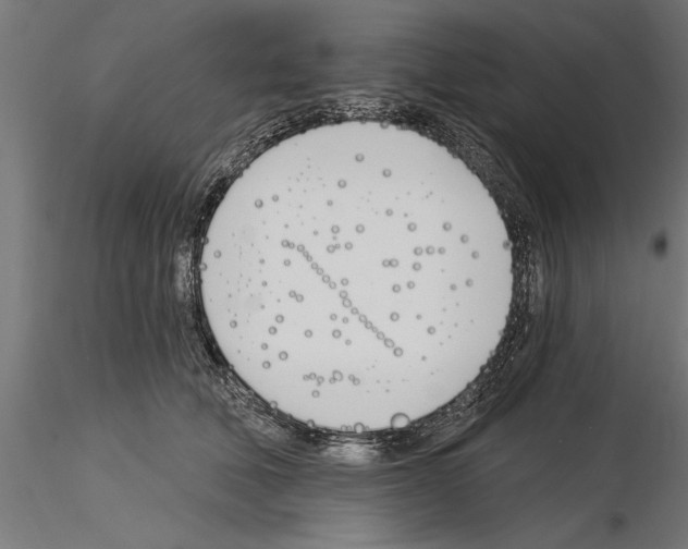 X0000115240610200912111056