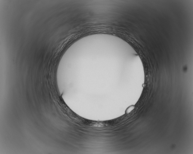 X0000115240611200912111056