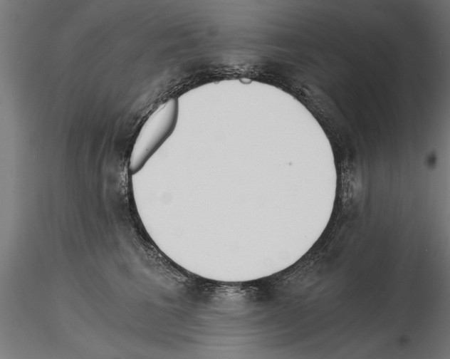 X0000115240613200912111056