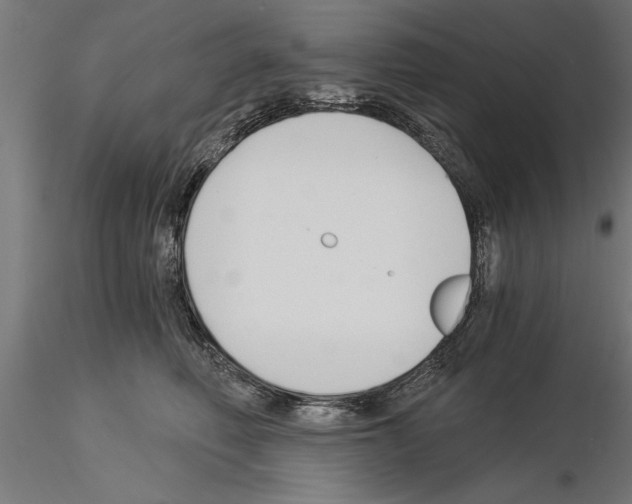 X0000115240614200912111056