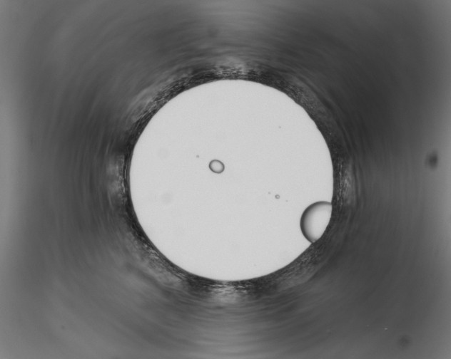 X0000115240616200912111056