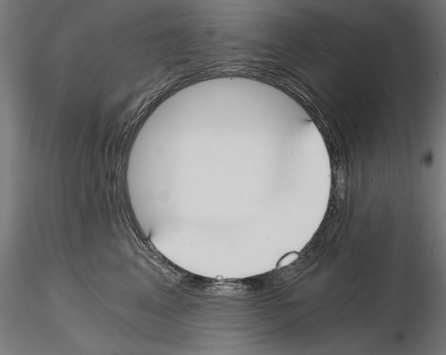 X0000115240617200912111056