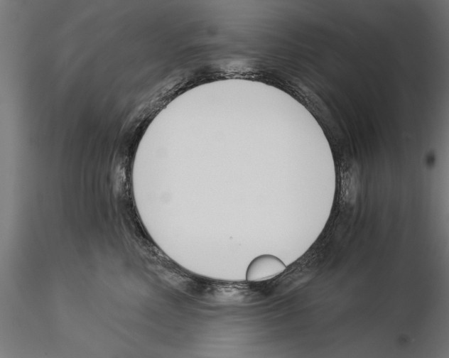 X0000115240618200912111056