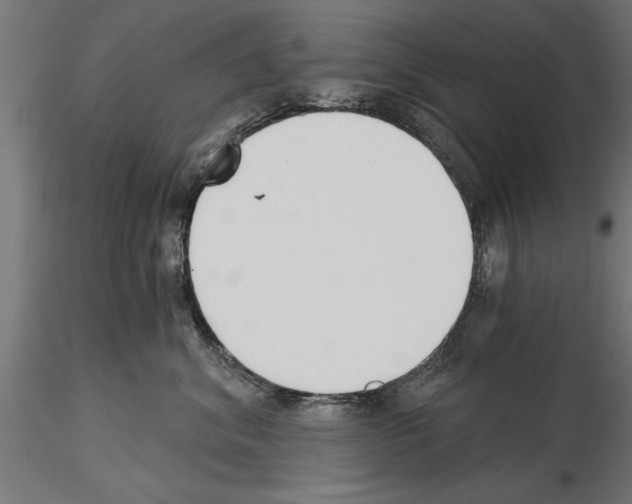 X0000115240620200912111056