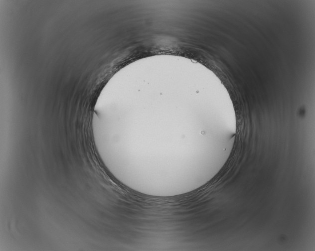 X0000115240621200912111056