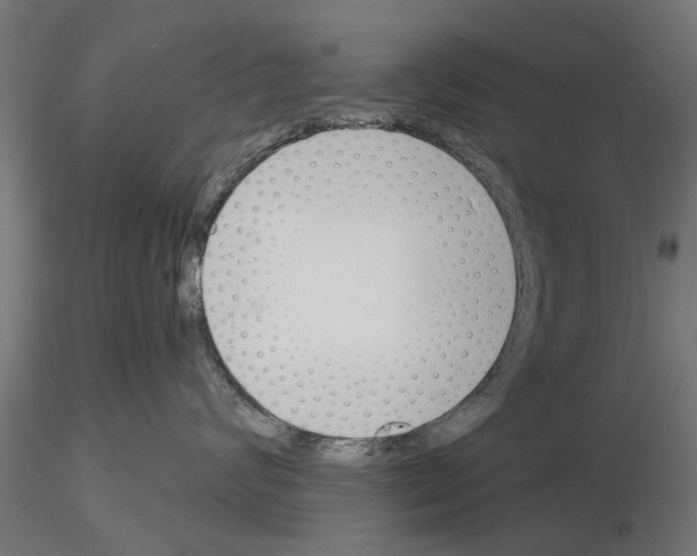 X0000115240624200912111056