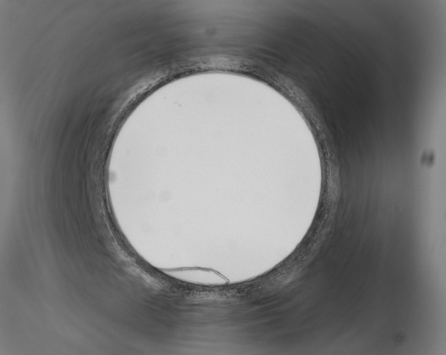 X0000115240625200912111055