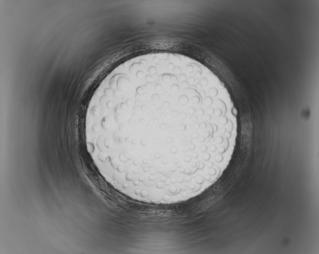 X0000115240626200912111055